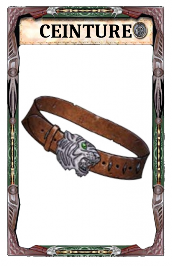 Ceinture - Dex du chat - Dos
